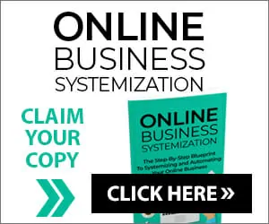 Business Systemization